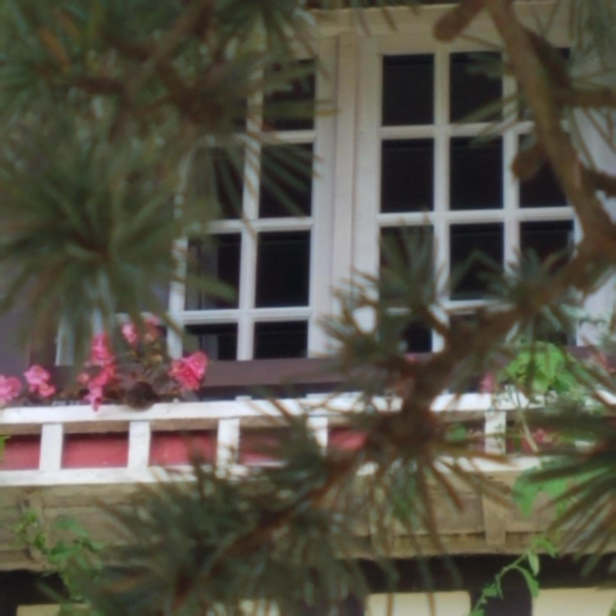 Le Vieux Pre De La Motte Lägenhet Villers-sur-Mer Exteriör bild