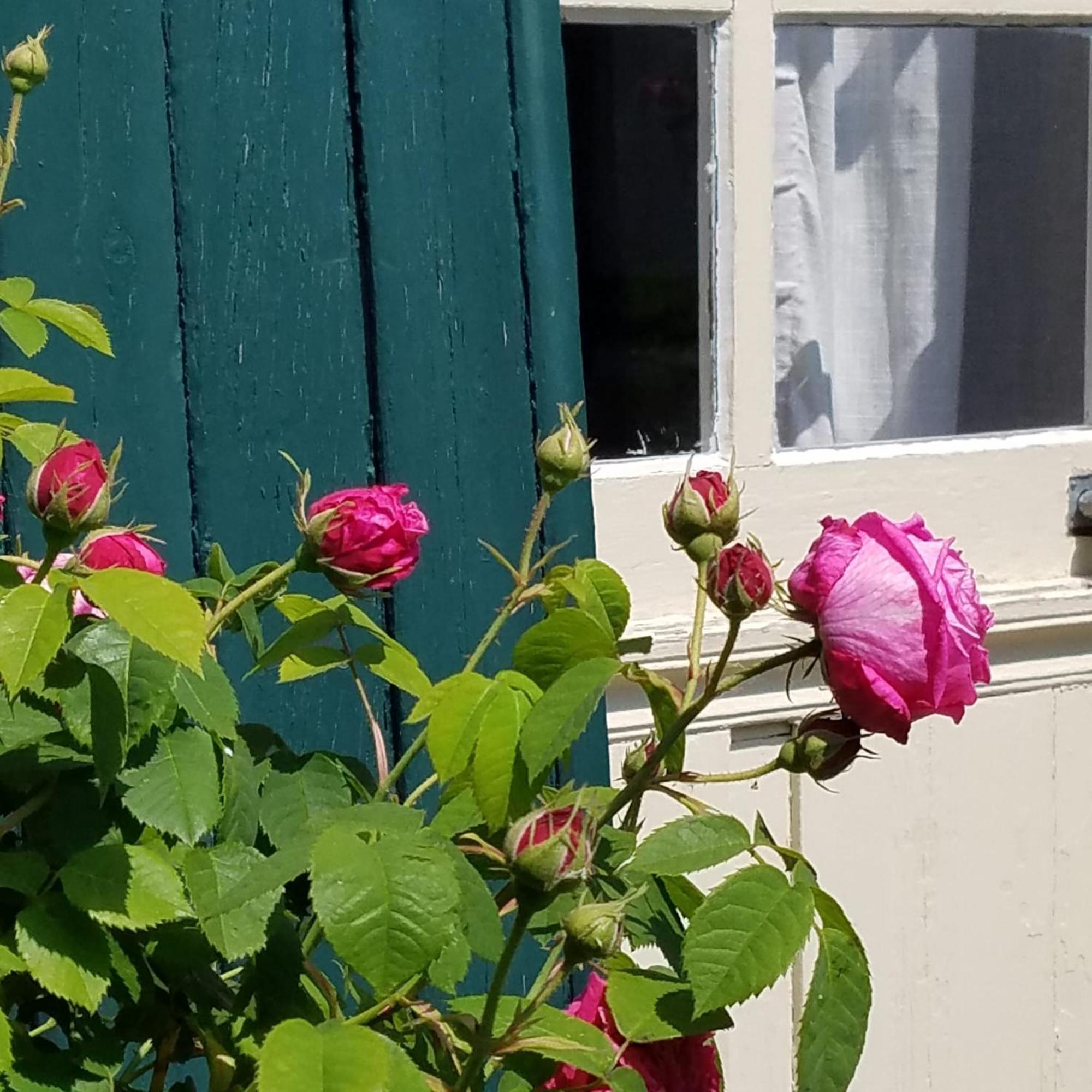 Le Vieux Pre De La Motte Lägenhet Villers-sur-Mer Rum bild